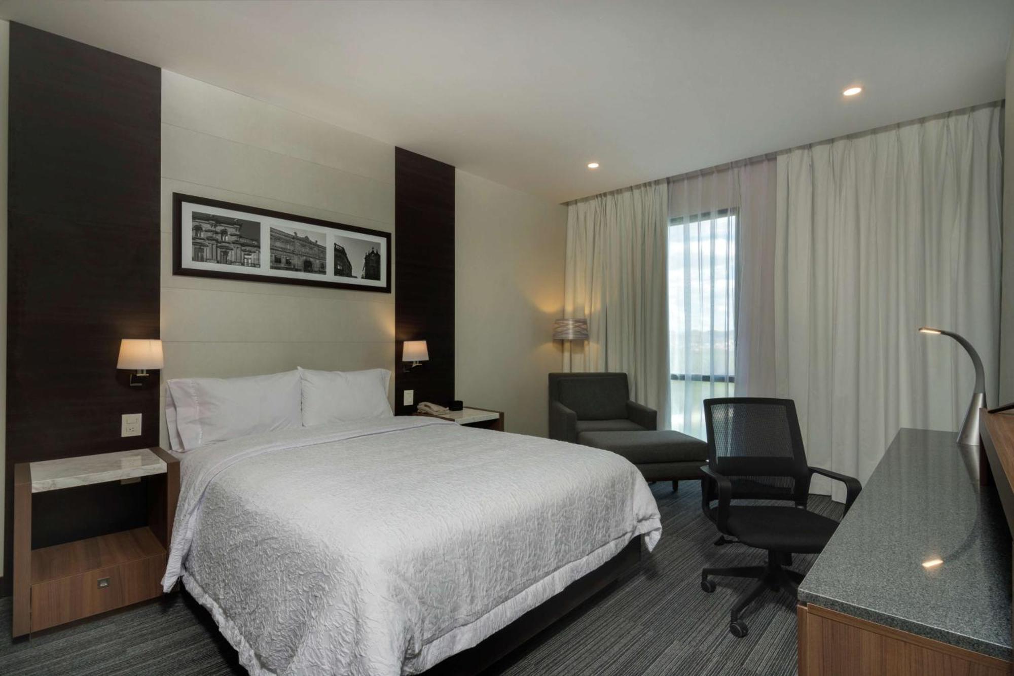 Hampton Inn By Hilton Σαν Λουίς Ποτοσί Εξωτερικό φωτογραφία